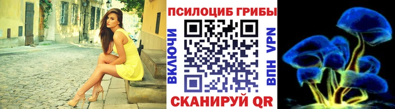 купить  цена  Зея  Галлюциногенные грибы Cubensis 