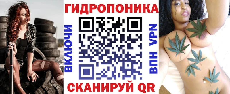 дарк нет состав  купить наркотики цена  mega tor  Зея  Бошки марихуана Bruce Banner 